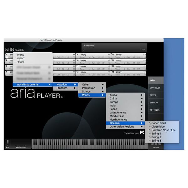 Garritan World Instruments