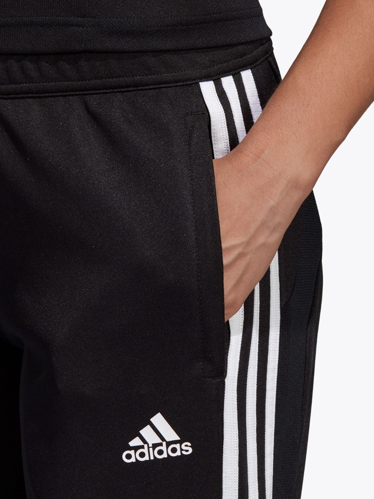Tiro 19 Training Pant