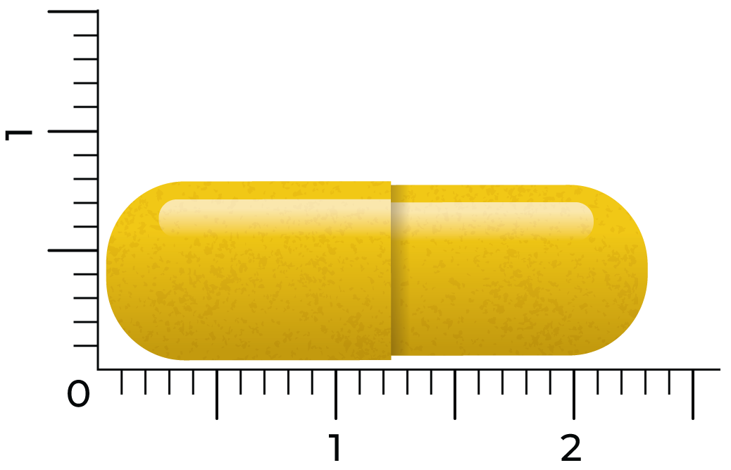Vitakruid Berberine 500 Rebersa® 97-102% Berberine Zouten (60 vega capsules)