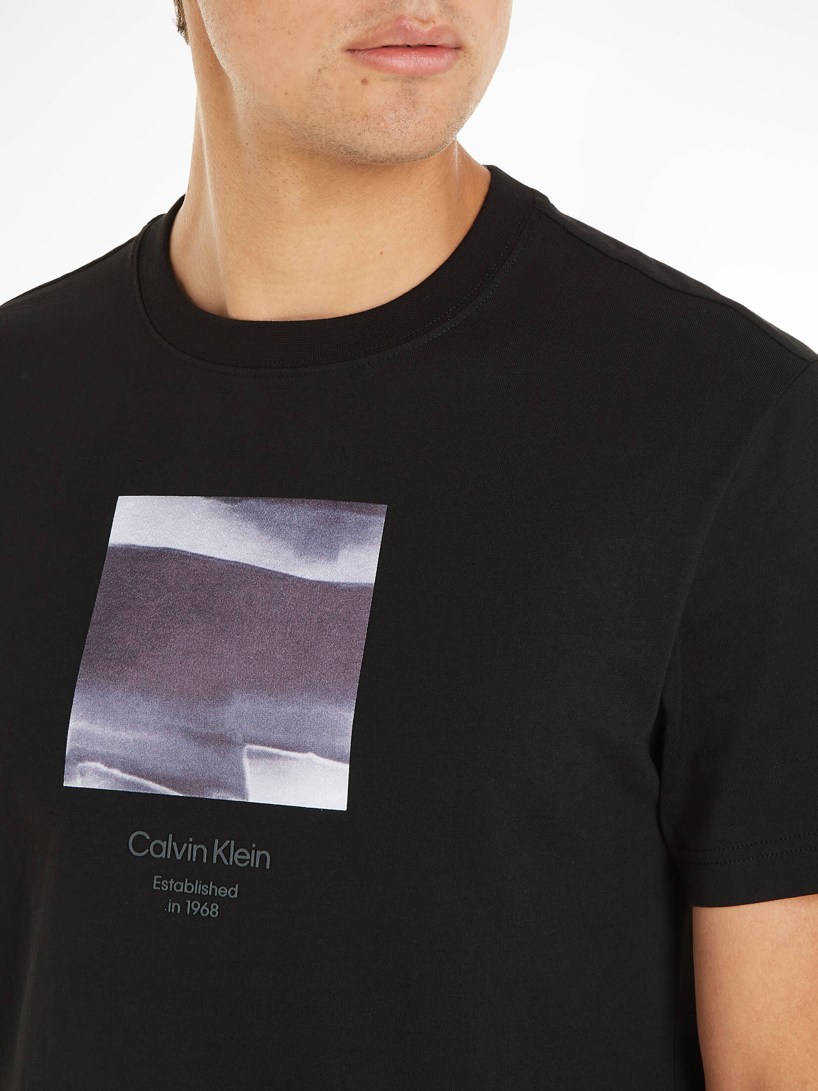 CALVIN KLEIN| Herren T-Shirt