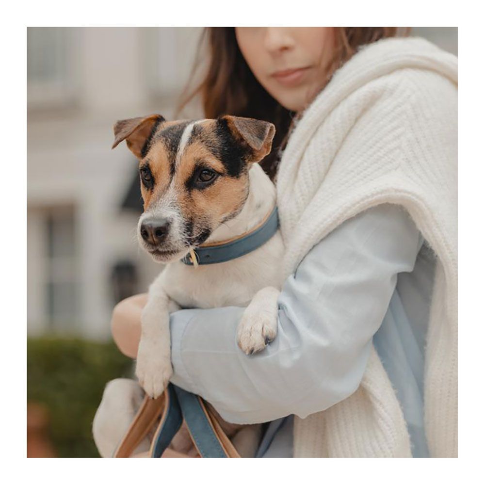 Kentucky CUIR VEGAN -  Collier pour chien navy/beige