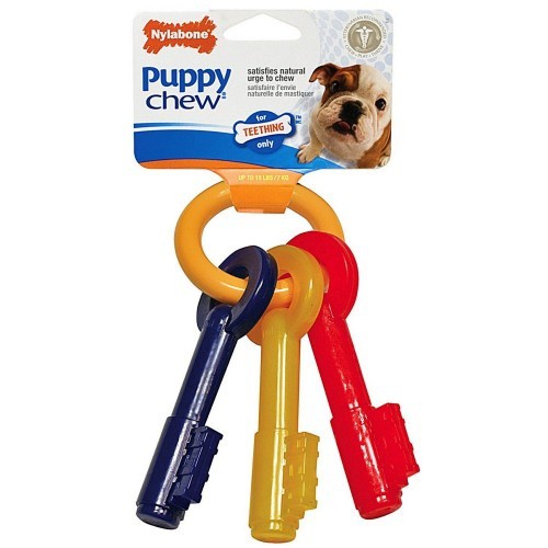Chaves de brinquedo para cachorros, várias cores