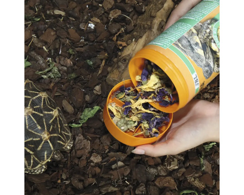 JBL PROTERRA FLORSIL schildpaddenvoer, hoofdvoer met bloemen voor alle landschildpadden, 1000 ml