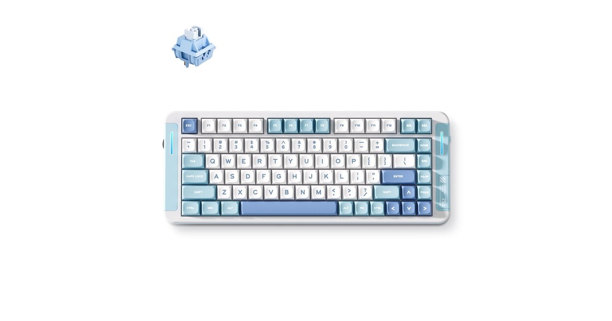 MCHOSEX75 V2 Blue Whale Sea Custom Mechanical, toetsenbord  (Wit/lichtblauw, US lay-out, SWK Whale Sea, 75%, RGB, Hot swap, Double-Shot PBT, draadloos / Bluetooth / USB-C)