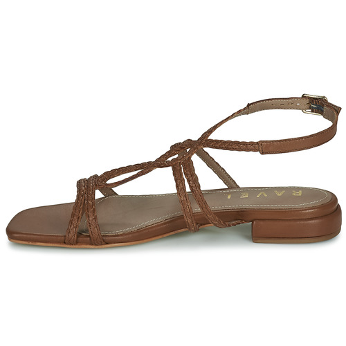 Ravel - JANS Camel
