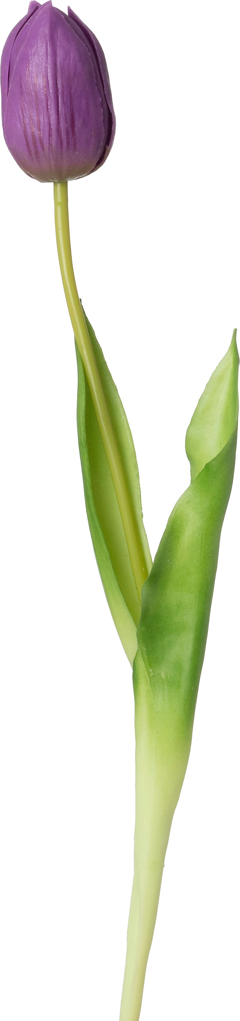 Intratuin kunstbloem Tulp paars 44 cm