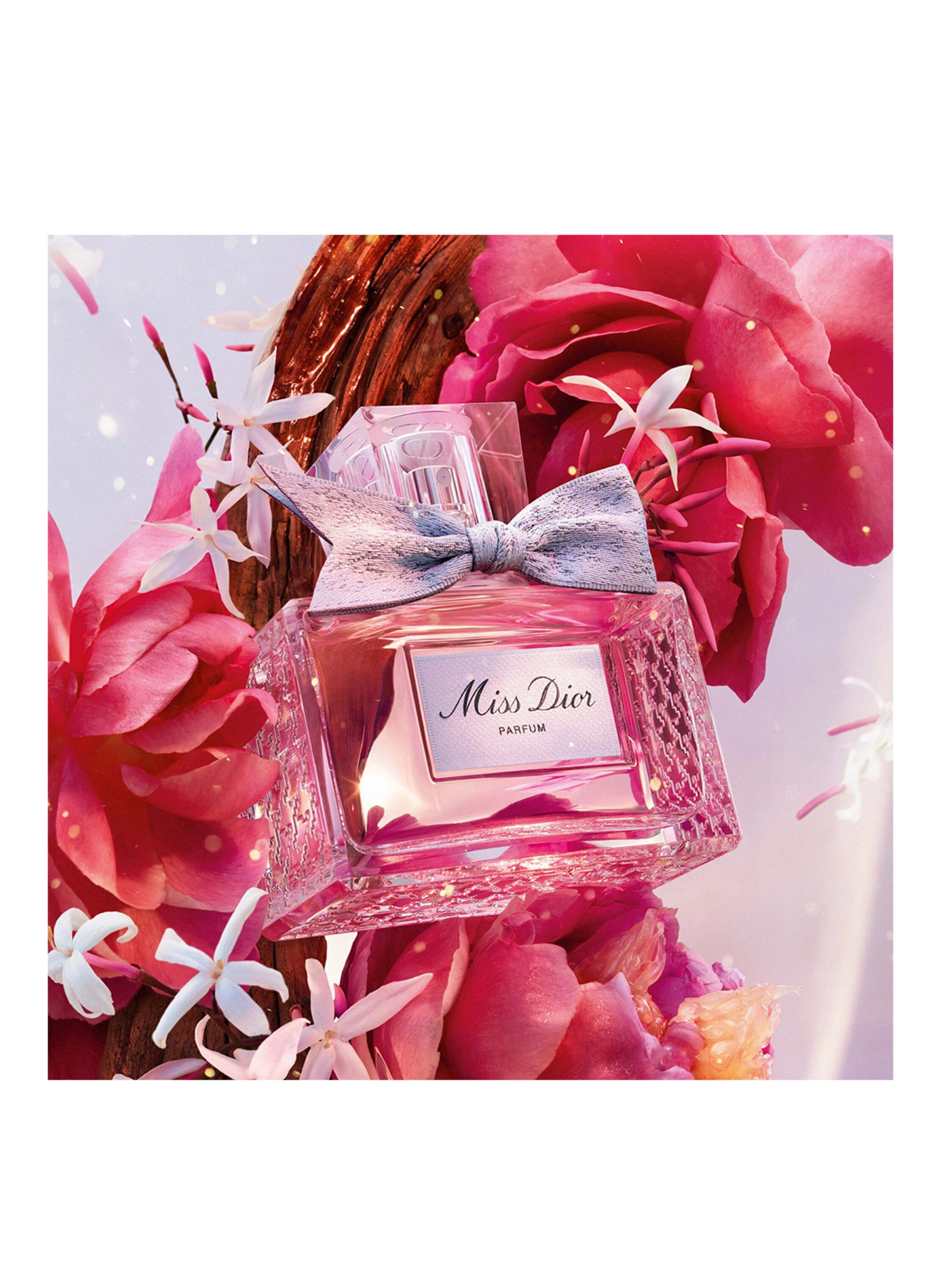 DIOR MISS DIOR