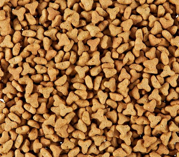 ROYAL CANIN® Trockenfutter für Katzen Light