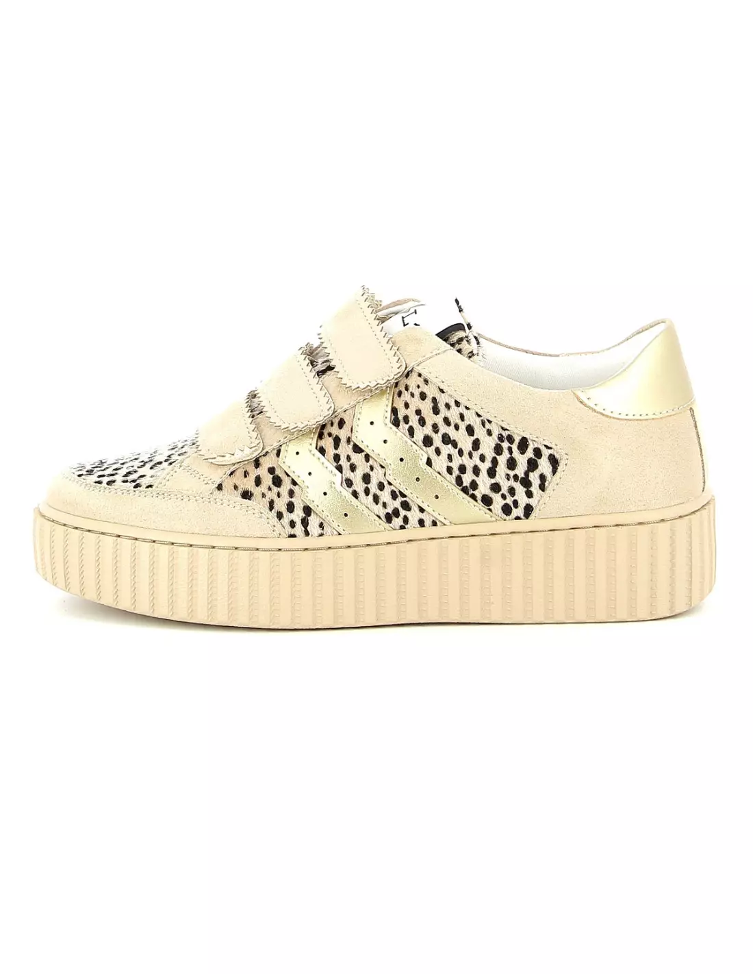 CL11 CL53 - Baskets Leopard