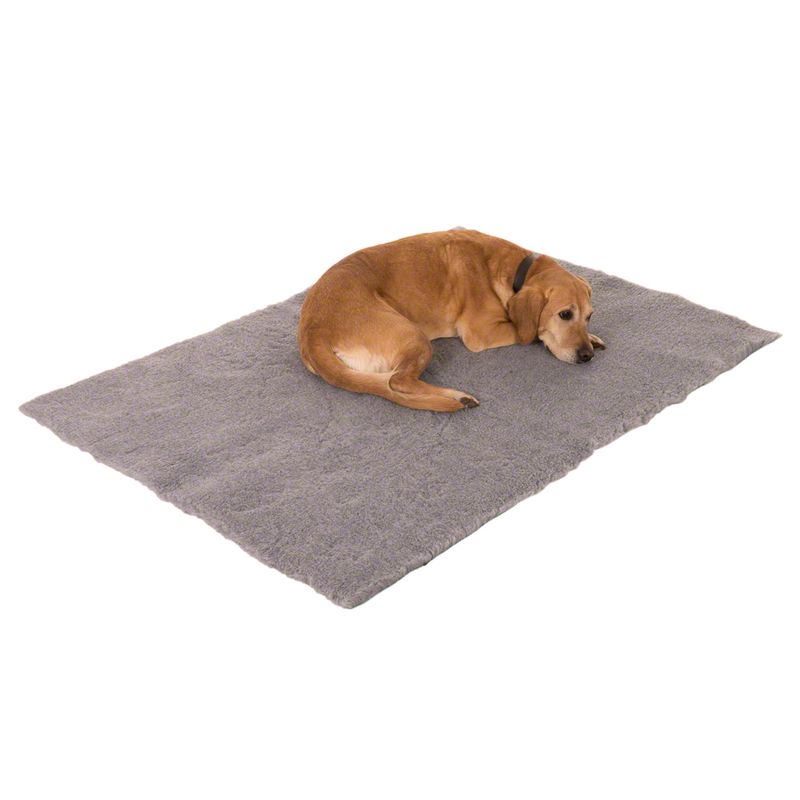 Tapis Vetbed Premium à prix discount sur bitiba.fr