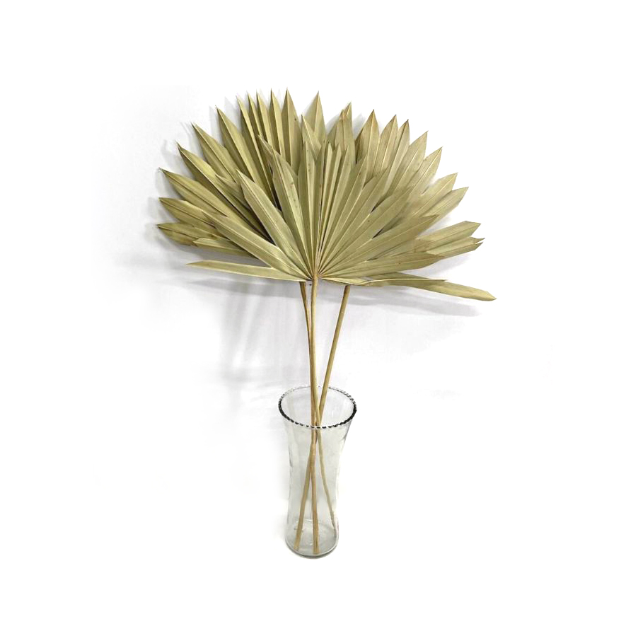 Palmblatt-Trio, natur, H 45-60 cm von fischer's lagerhaus