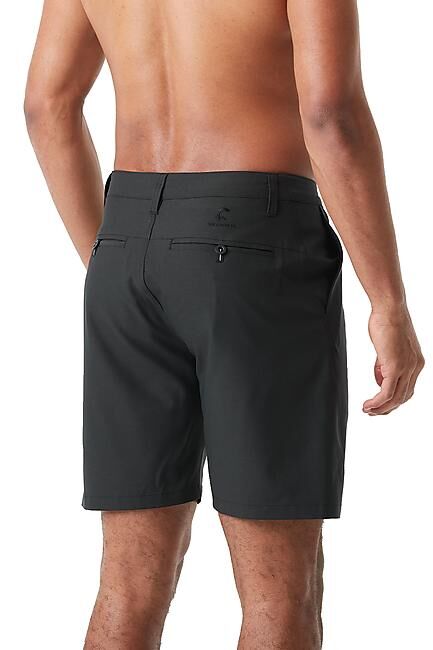 PICTURE - BOARDWALK POLAR HYBRID 19