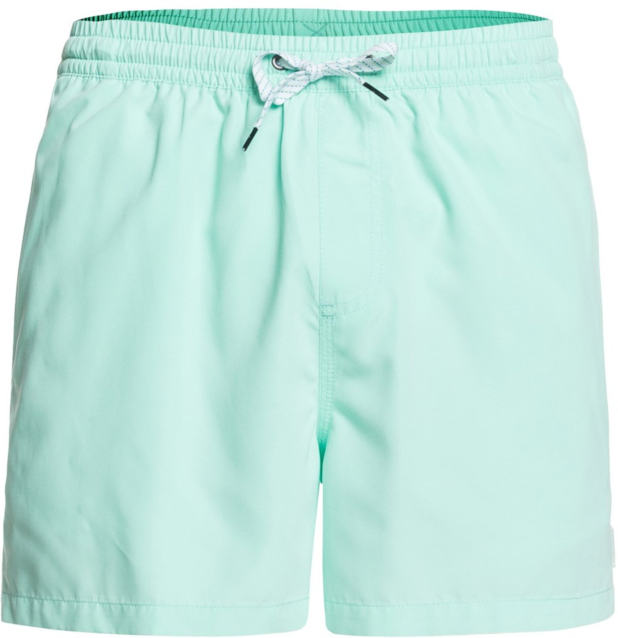 Quicksilver Everyday Volley 15