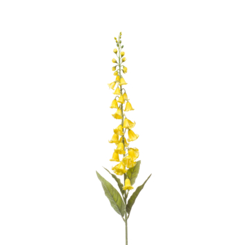 Campanula spray yellow 96cm