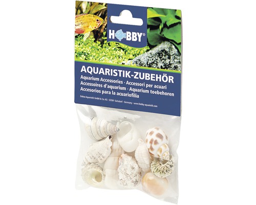 Aquariumdecoratie hobby schelpenset M, 10 stuks