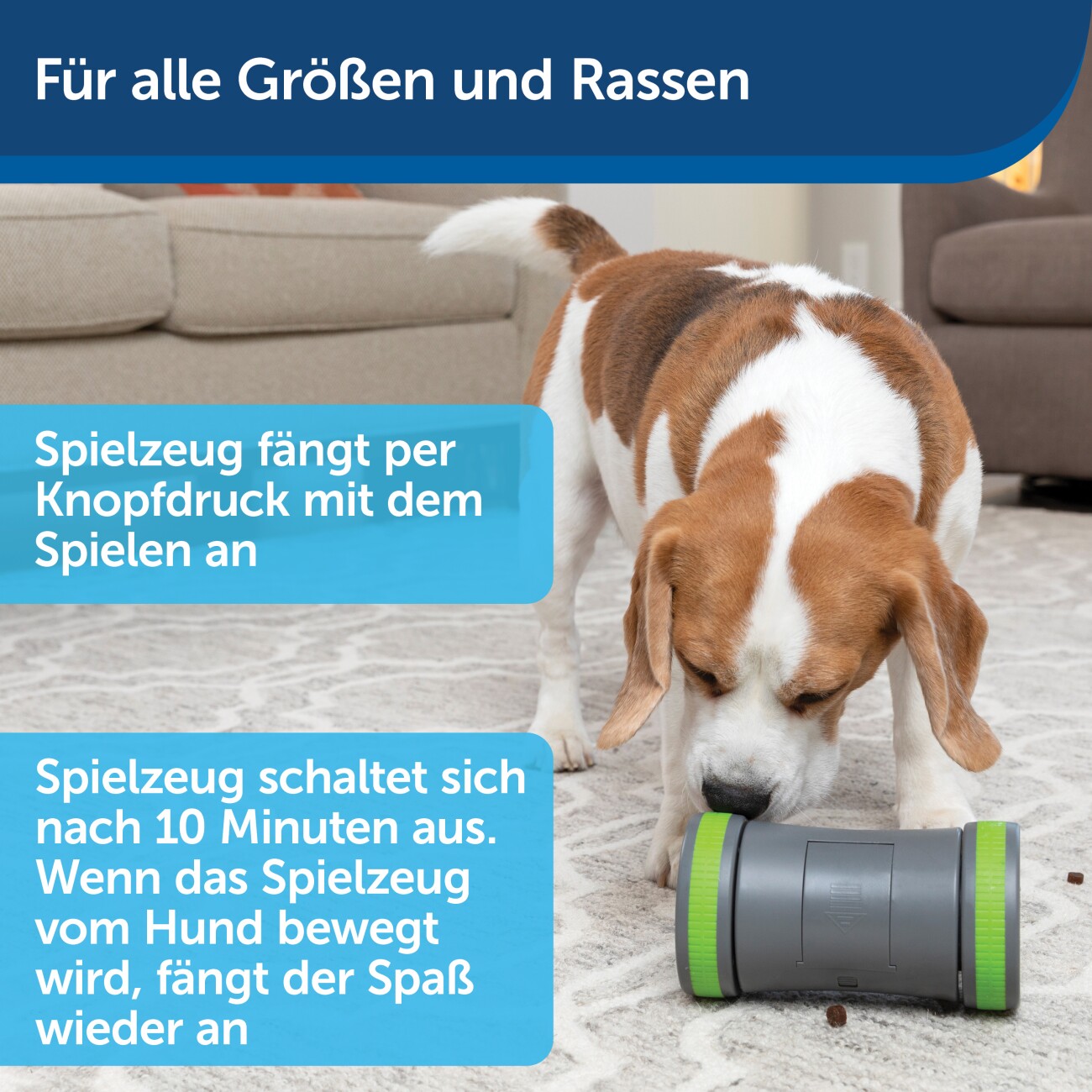 PetSafe Selbstbewegendes Belohnungsspielzeug Kibble Chase