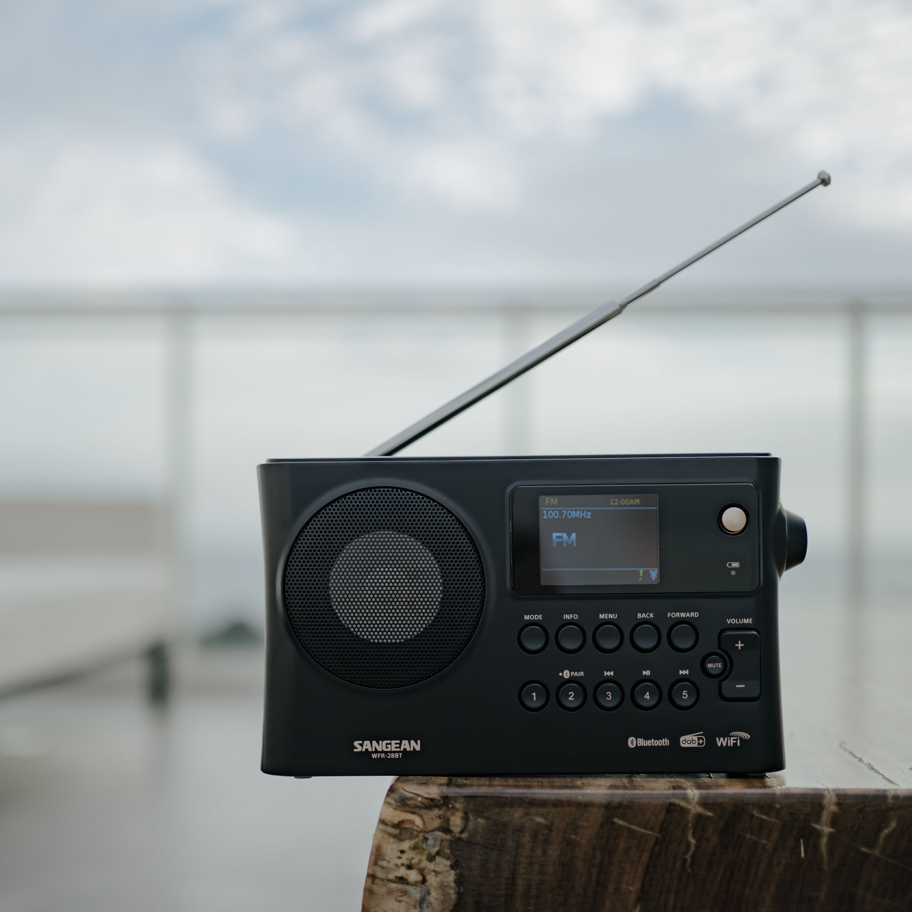 Sangean WFR-28 BT Internettradio med DAB+/FM