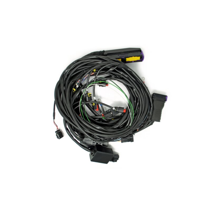 BRC Kabelbaum Fast VZ Commodore V6 (DE516142-2)
