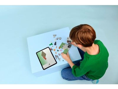 LEGO De bleke tuin (21586)