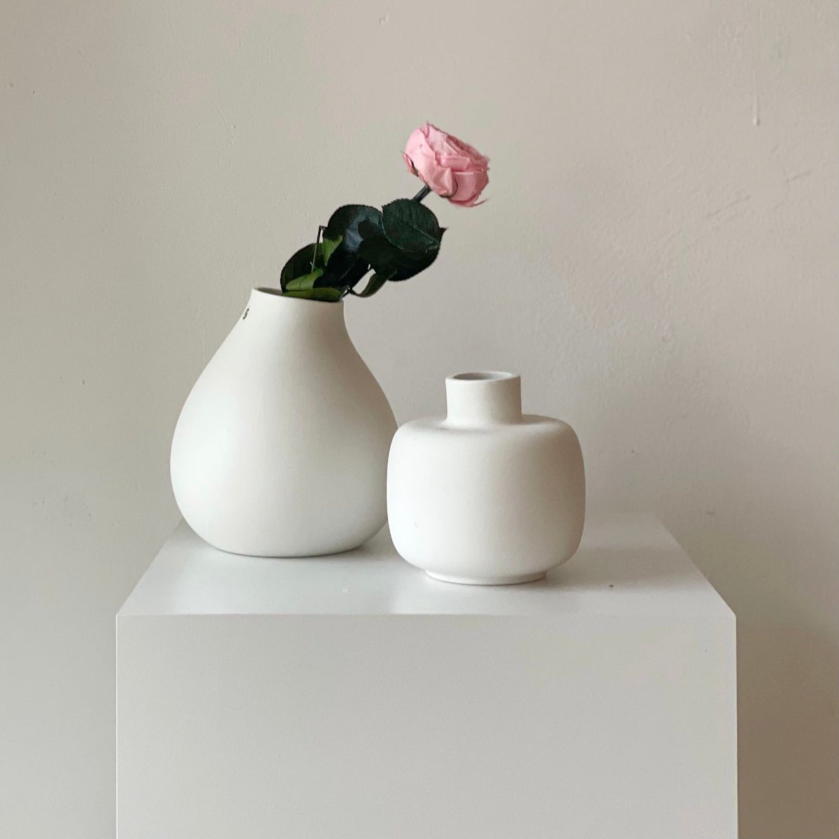 Geconserveerde/gevriesdroogde Engelse rozen: tijdloze elegantie voor de eeuwigheid