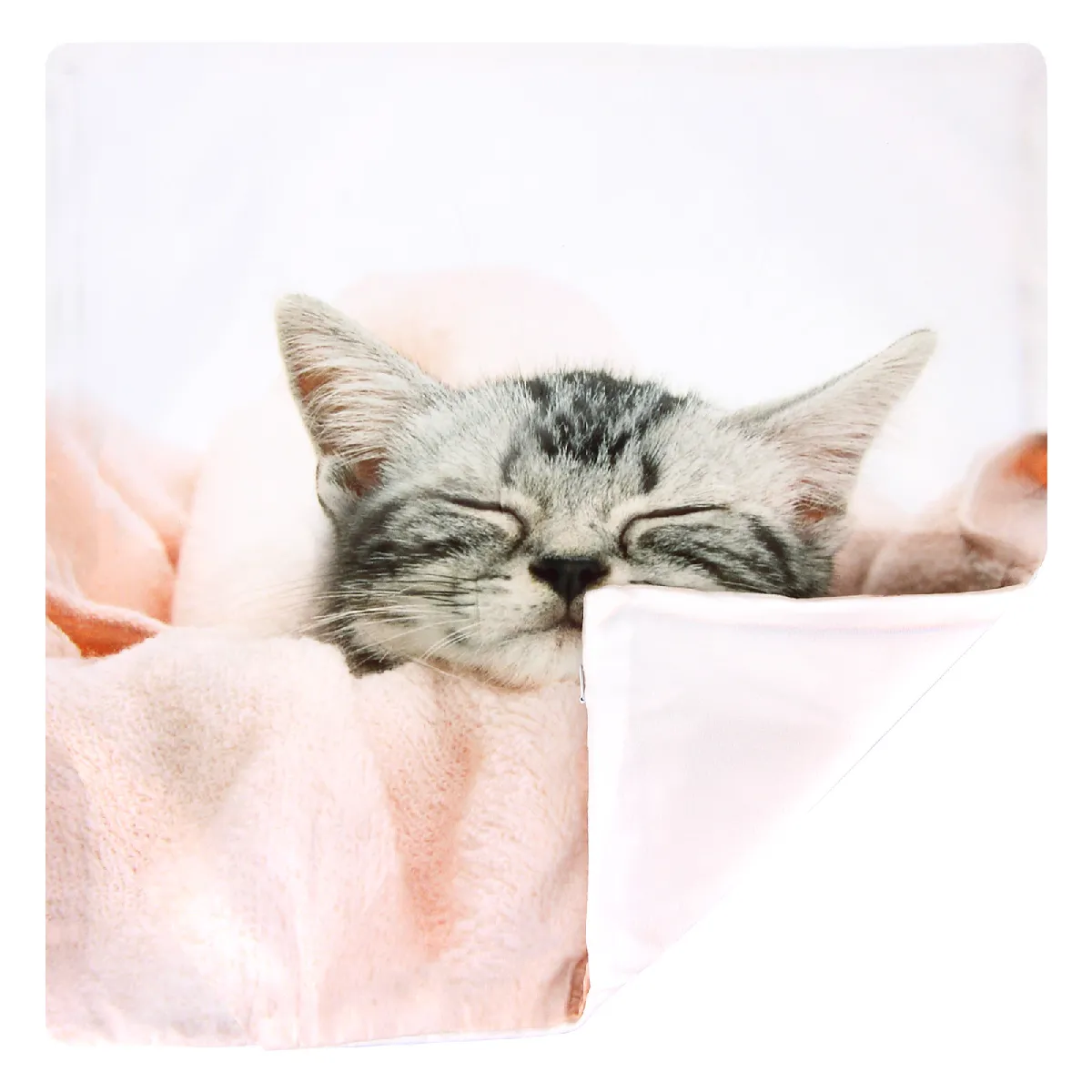 Housses de Coussin AVIZAR - Chaton
