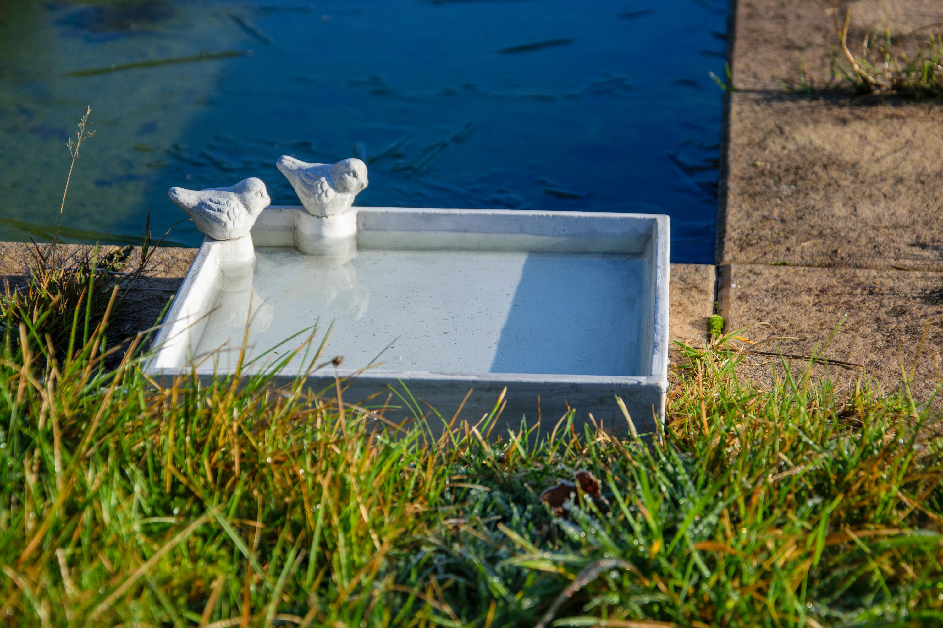 dobar Vogel- und Insektentränke - versch. Ausführungen