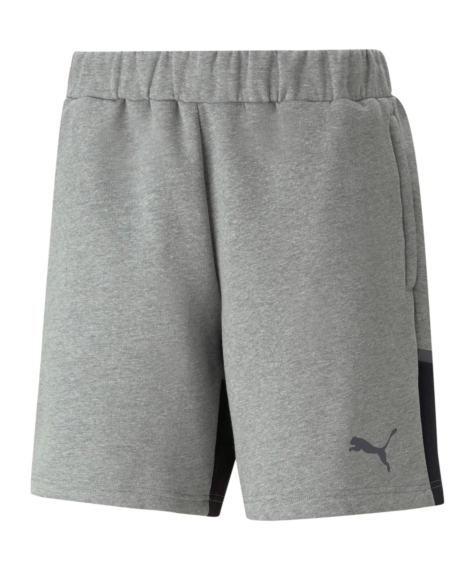 Puma| Herren Fußball - Teamsport Textil - Shorts teamCUP Casuals Short