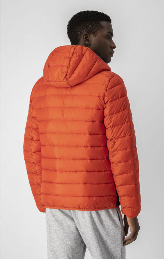 Champion Stripe Padded Hooded jakke Orange