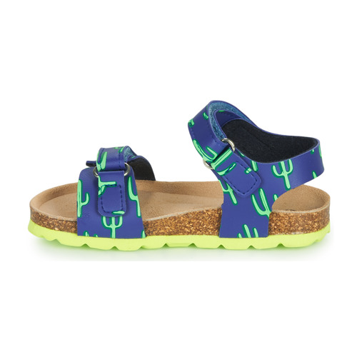 Mod'8 - KOURTIS - Bleu / Vert