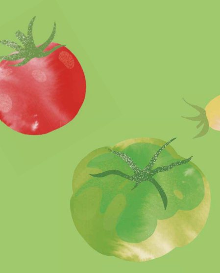 Tomato tomato