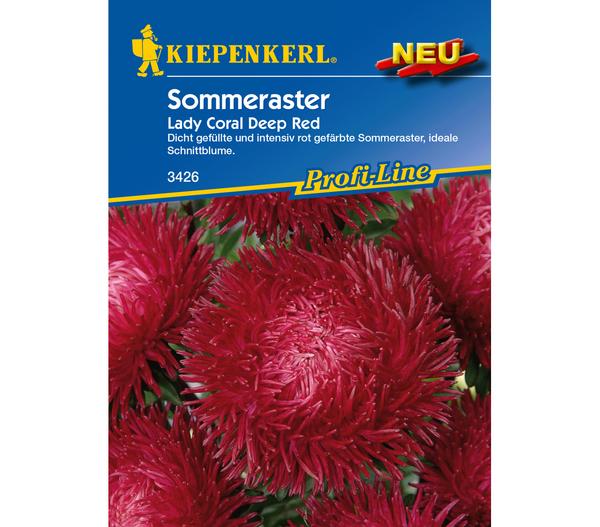 Kiepenkerl Saatgut Sommeraster 'Lady Coral