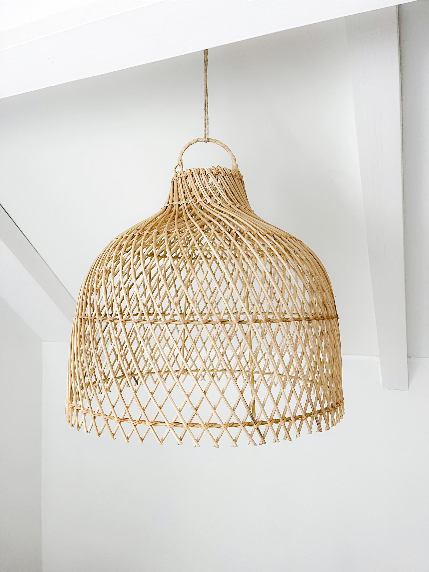 Hanglamp biron l