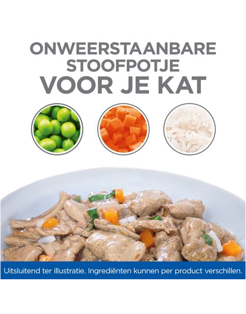 Hill's Feline Maaltijdzakjes Adult Healthy Cuisine - Kattenvoer - Kip Zalm 12x80 g