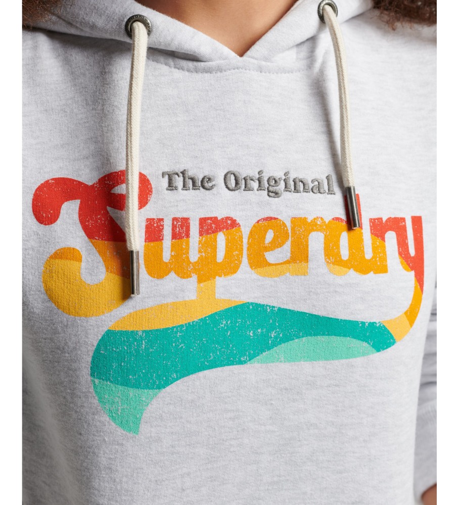 Moletom com capuz Superdry Vintage Rainbow Logo Cinza