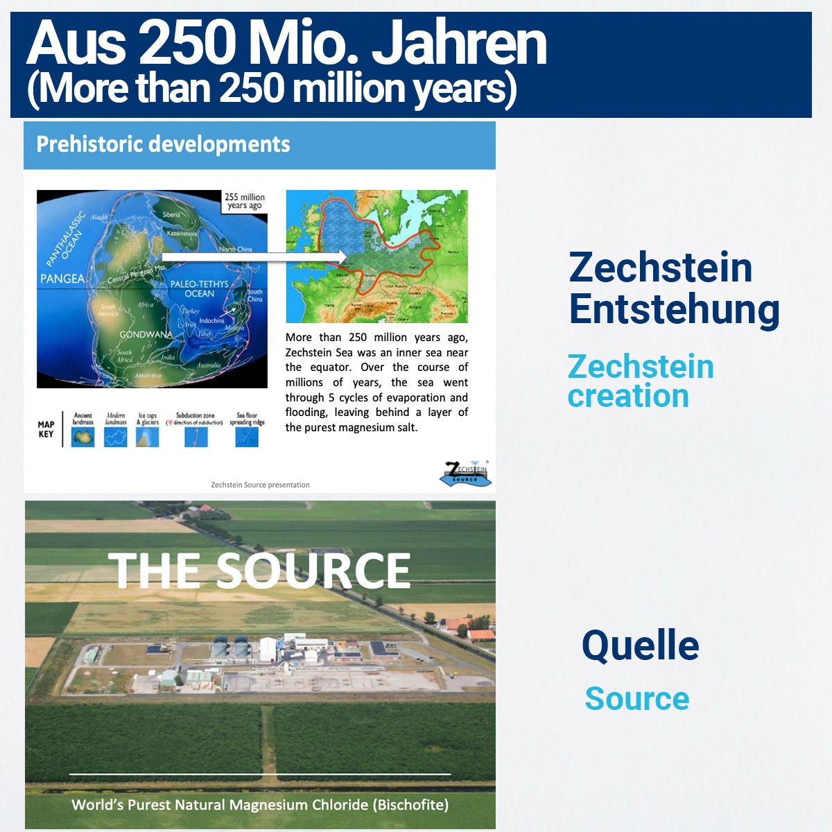 BMUT Magnesium Öl Spray (Zechstein)