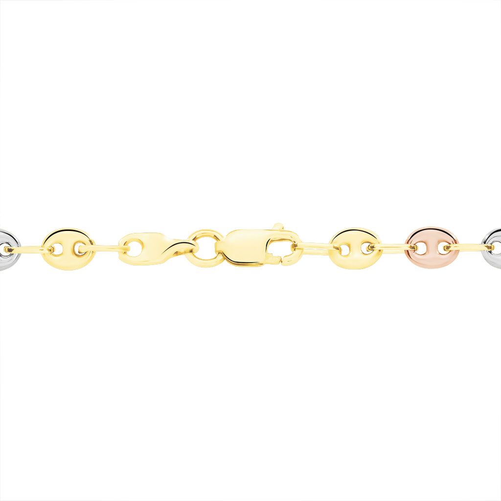 Collier Lou-ange Maille Grain De Café Or Tricolore