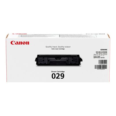 Canon 029 - tambour original