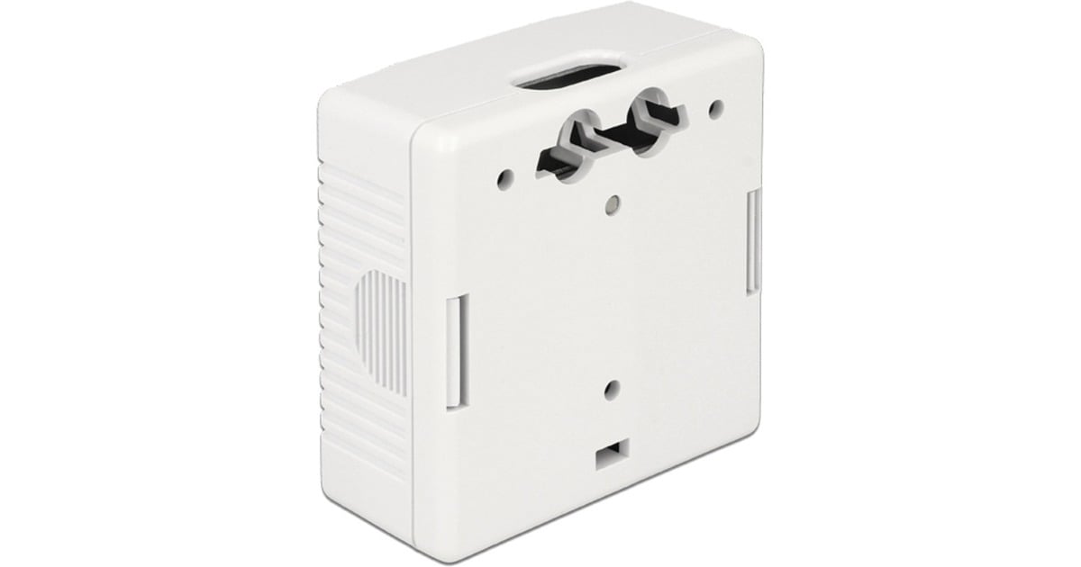 DeLOCKNetwork Wall Outlet 2 Port Cat.6A LSA montagedoos  (Wit)