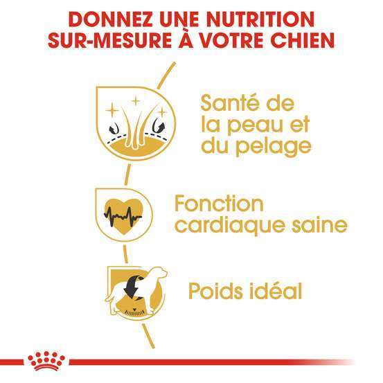 Croquettes chien Golden Retriever Adulte plus de 15 mois 12kg