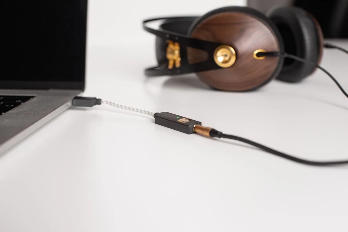 iFi Audio Go Link DAC Audio portables