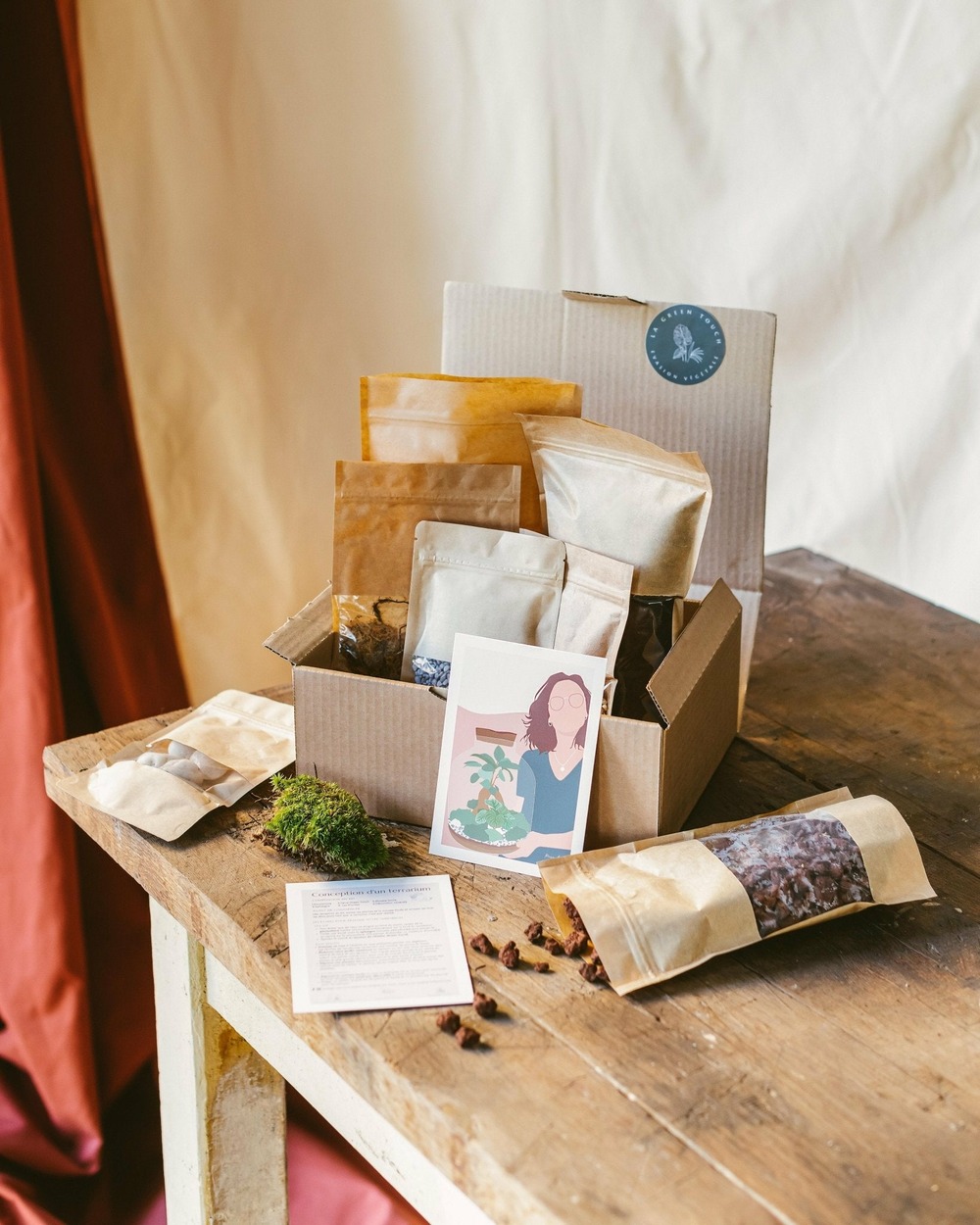 Kit diy rempotage terrarium