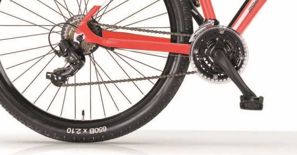 MBM Mountainbike 29 ZollDART