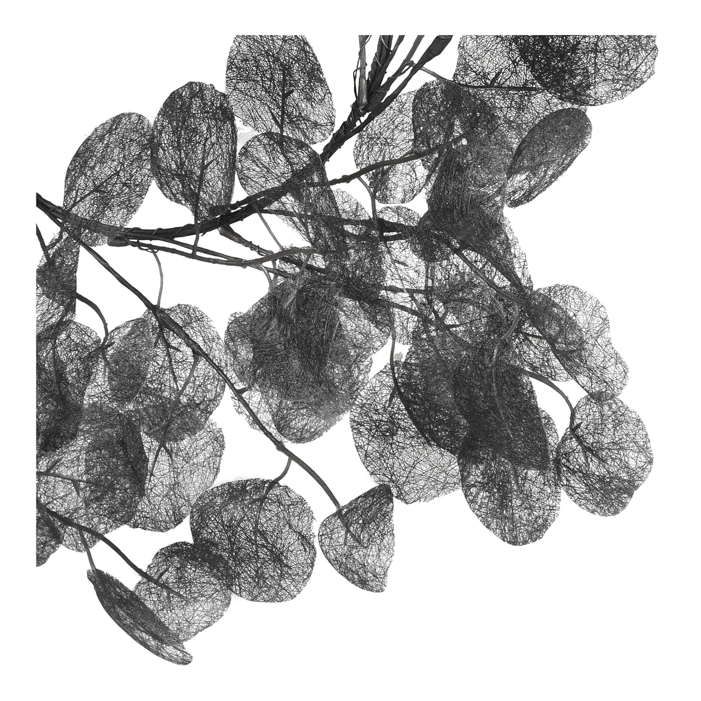 schwarz, ⌀ 60 x T 5 cm