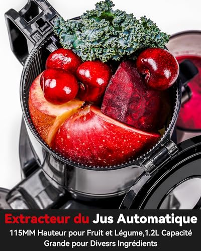 Sans Préparation Extracteur de Jus Vertical, Nettoyage Rapide Extracteur de Jus Lent, 115mm Machine a Jus de Fruit Extracteur Entiers, Facile à installer, LINKChef 1.2L, 200w, Noir : Cuisine et Maison