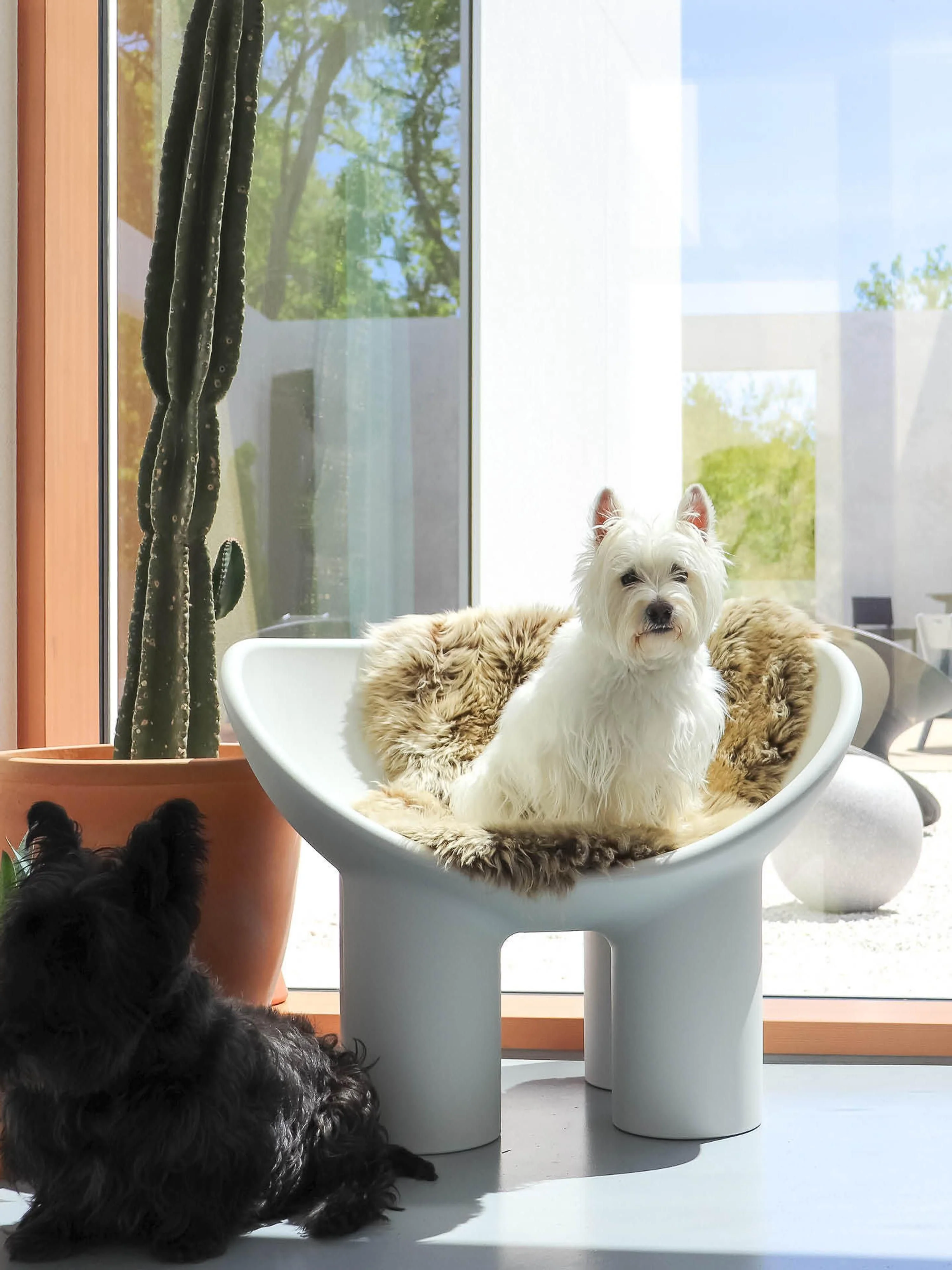Kunststof loungefauteuil Roly Poly