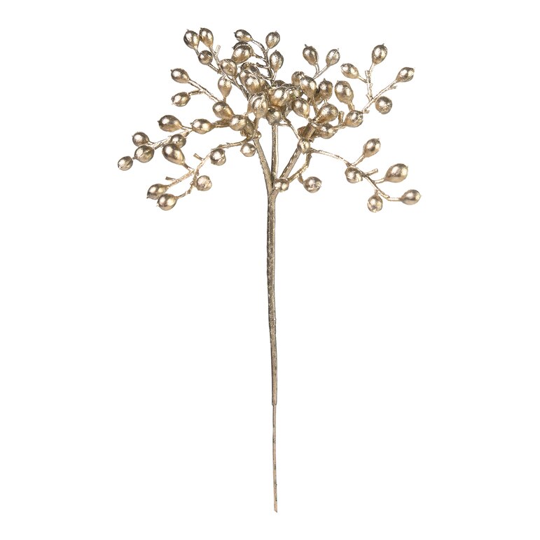 champagne, L 17,5 cm