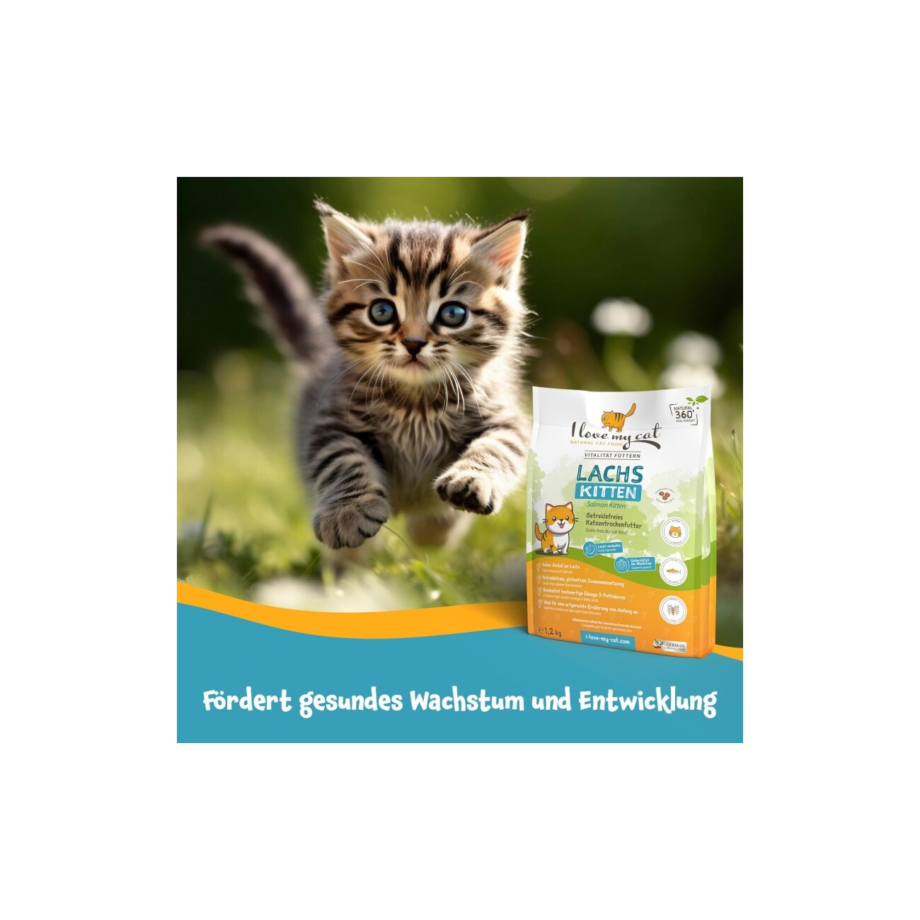 I love my cat Getreidefreies Trockenfutter für Kitten mit Lachs
