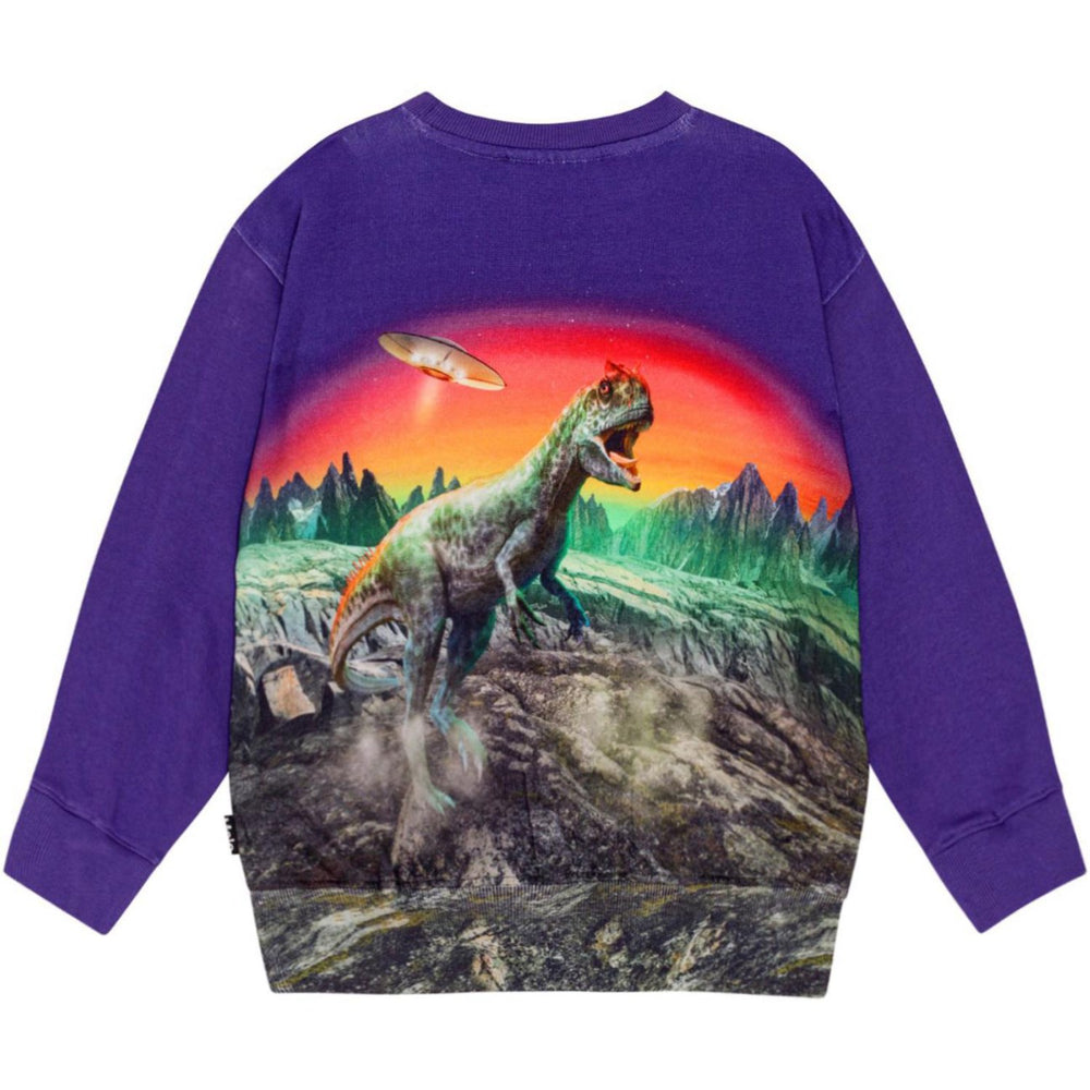 Køb Molo Dino Play Mattis Sweatshirt