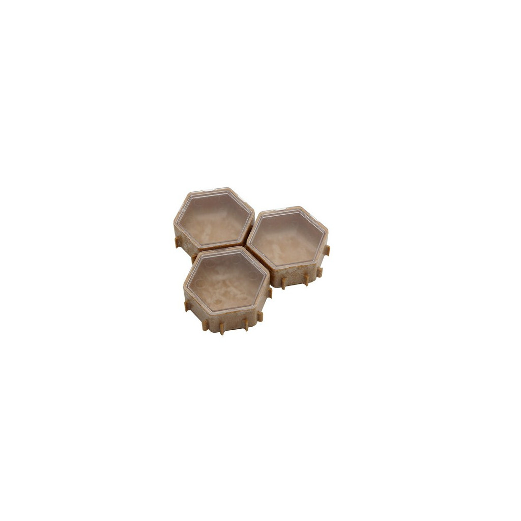 Set de Boîtes Honeycombs Nature