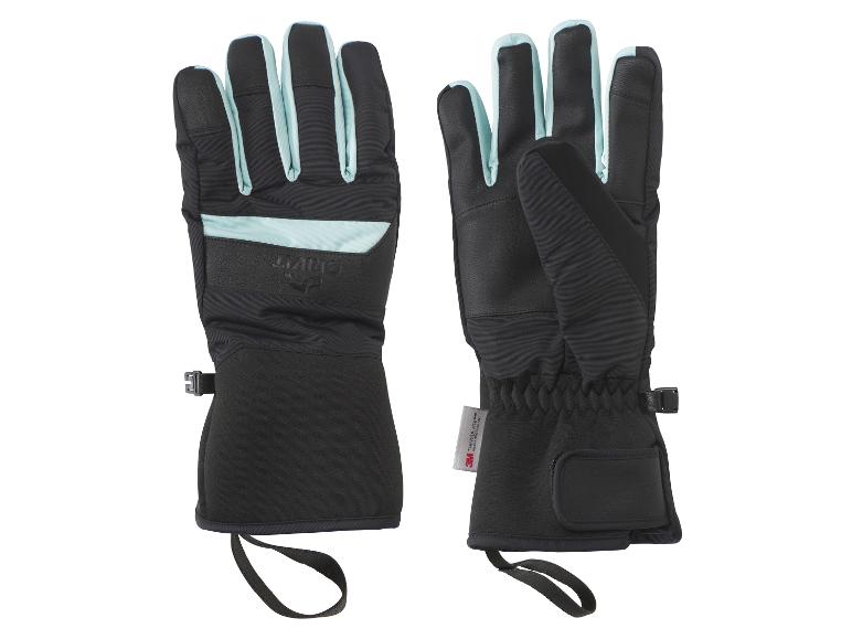 Skihandschoenen Premium